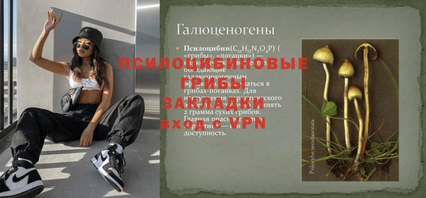 мдпв Киренск